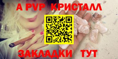 тгк Бийск