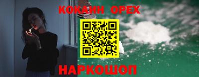 тгк Бийск