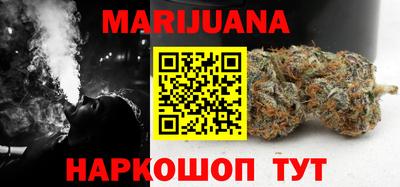 тгк Бийск