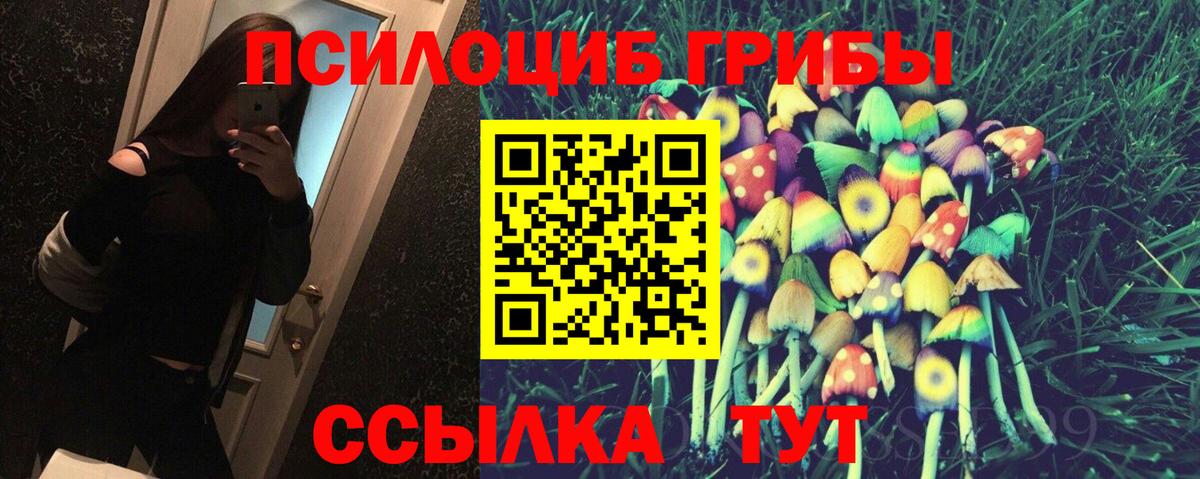Галлюциногенные грибы мицелий Апшеронск